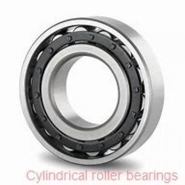 120 mm x 260 mm x 55 mm  SIGMA NU 324 cylindrical roller bearings